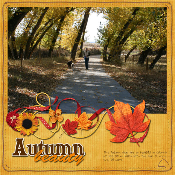 Autumn Beauty