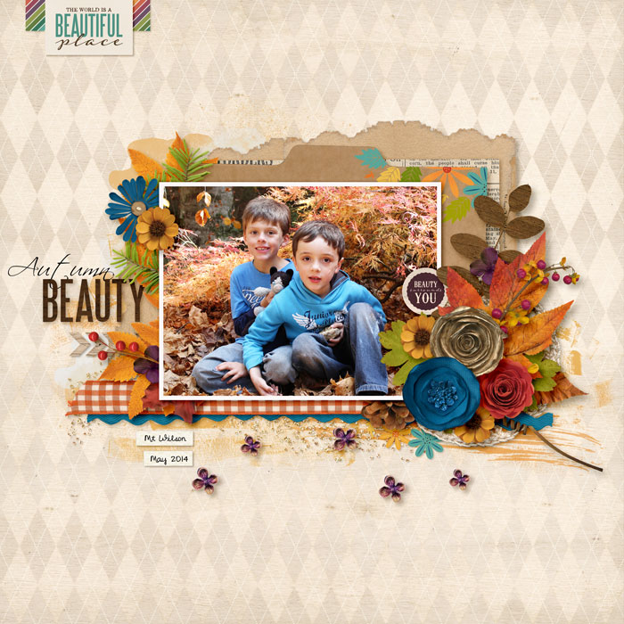 Autumn Beauty