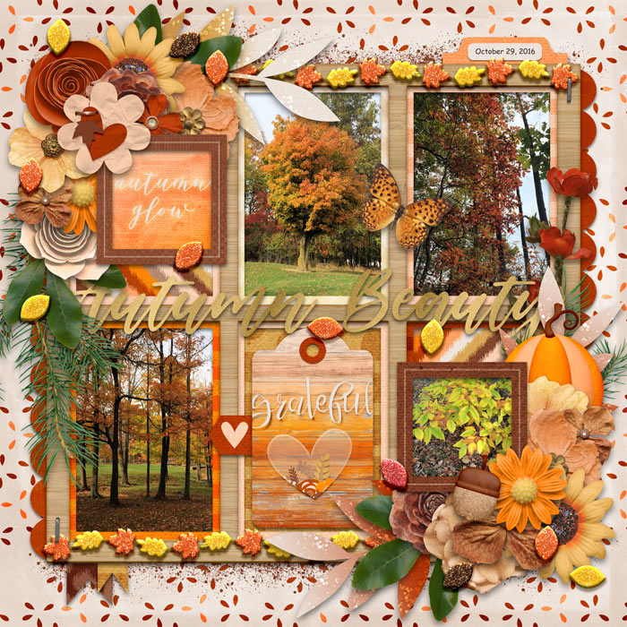 Autumn Beauty