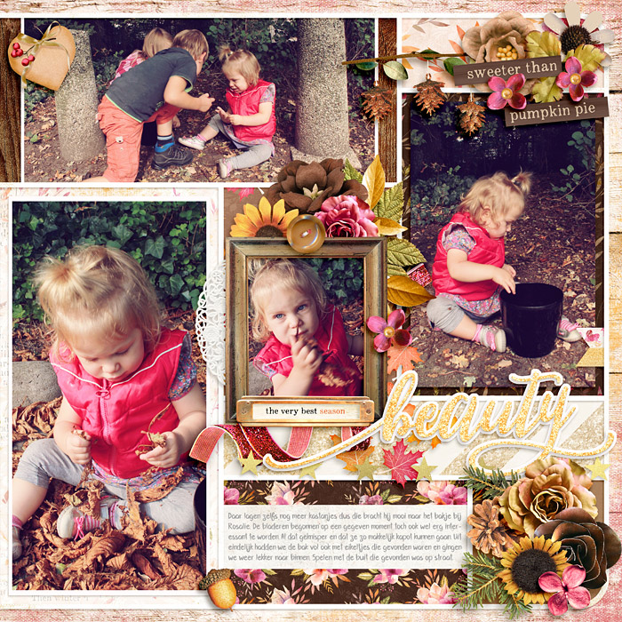 Autumn Beauty2