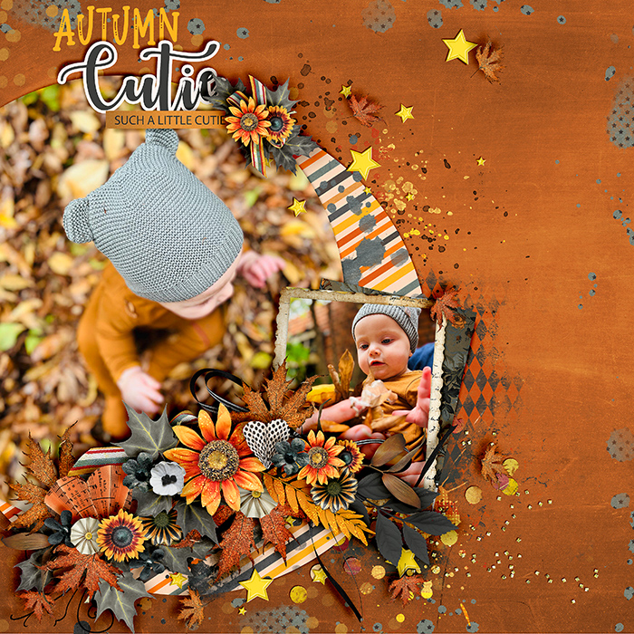 Autumn Cutie