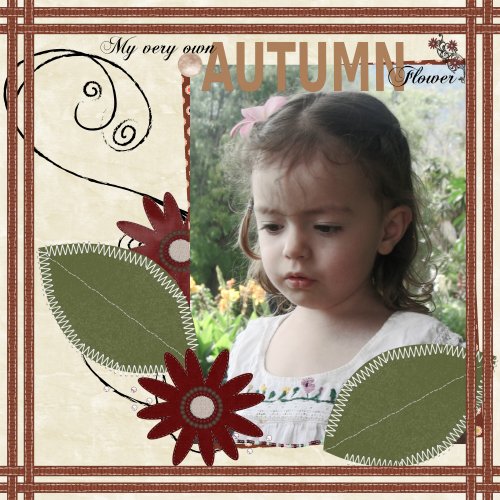 Autumn flower