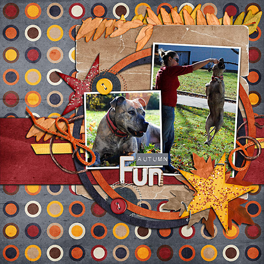 Autumn Fun