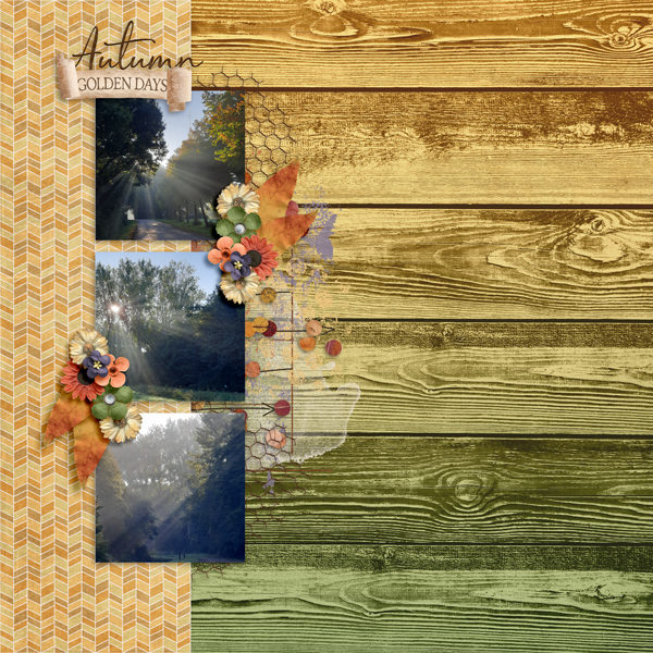 Autumn Golden Days