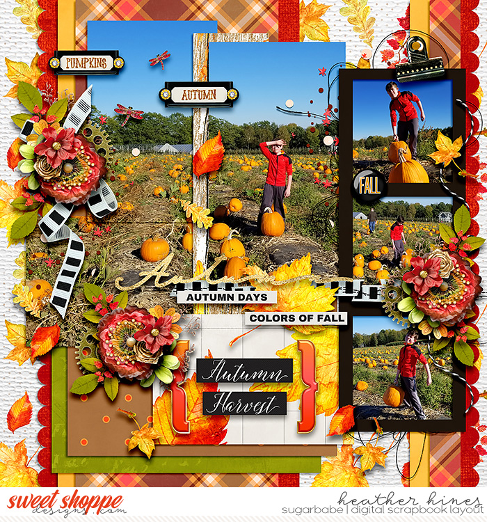 Autumn Harvest