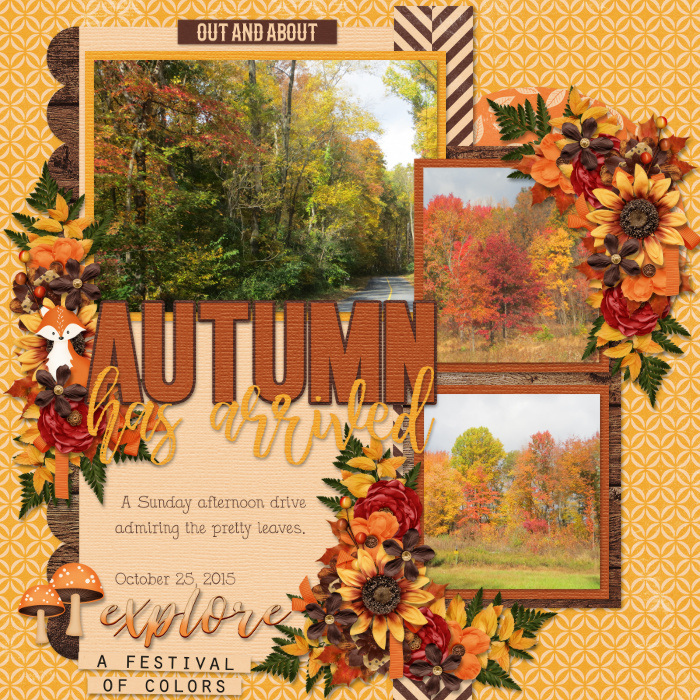 Autumn Has Arrived