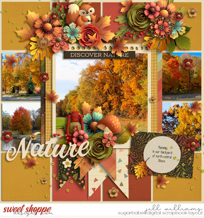 Autumn in our Backyard