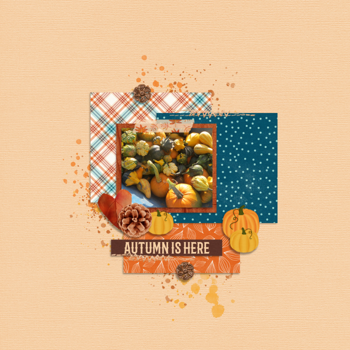 Autumn is Here