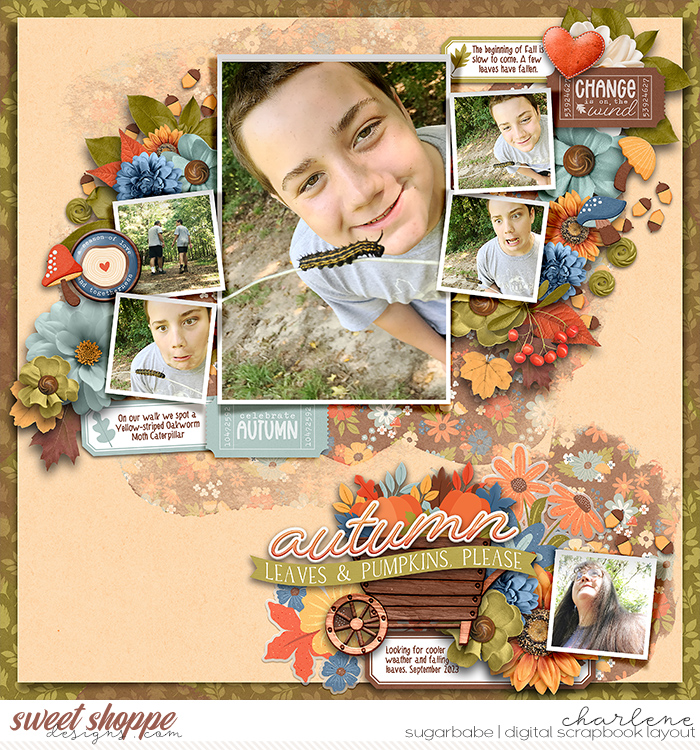Autumn Leaves and Pumpkins Please