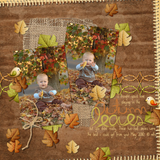 autumn leaves
