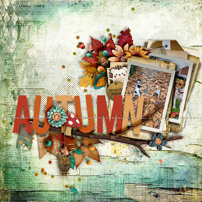 Autumn leaves
