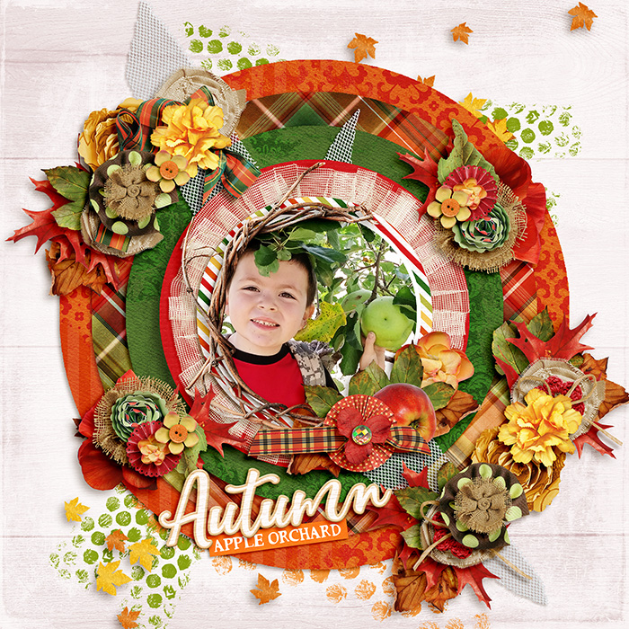Autumn Means Apple Orchard
