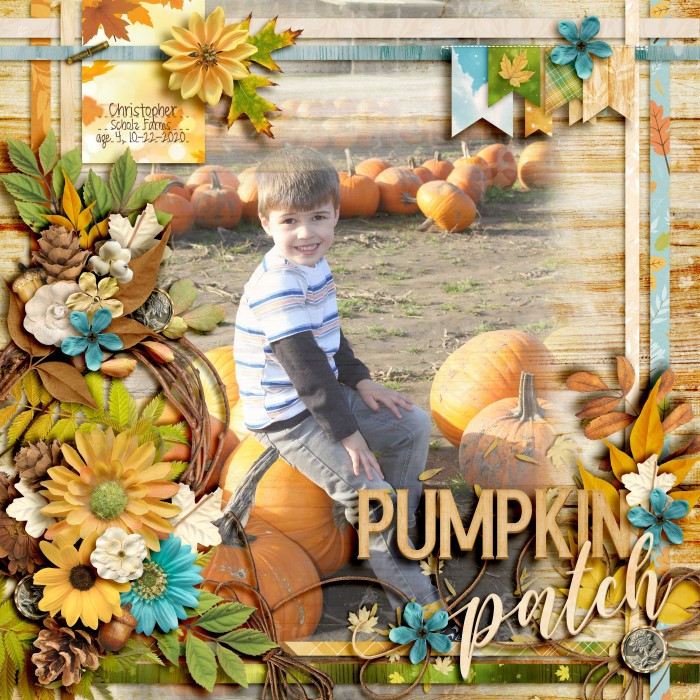 Autumn Memories - Chris 2020