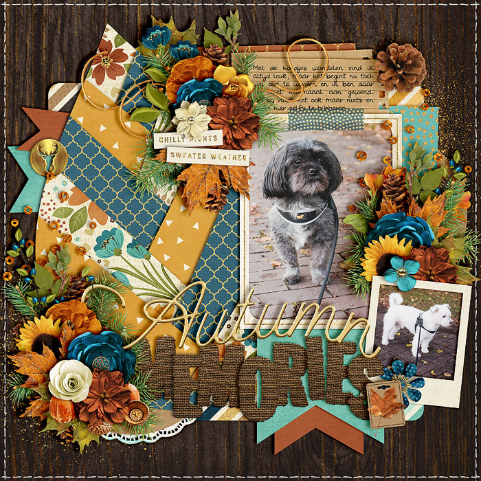 Autumn memories