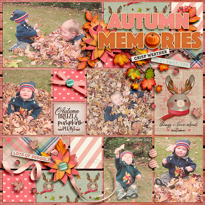 Autumn Memories