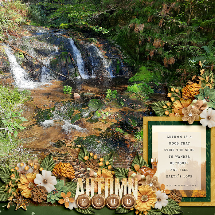 Autumn Mood