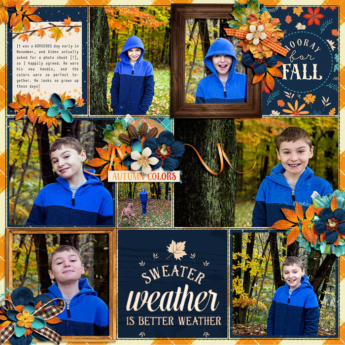 Autumn photos