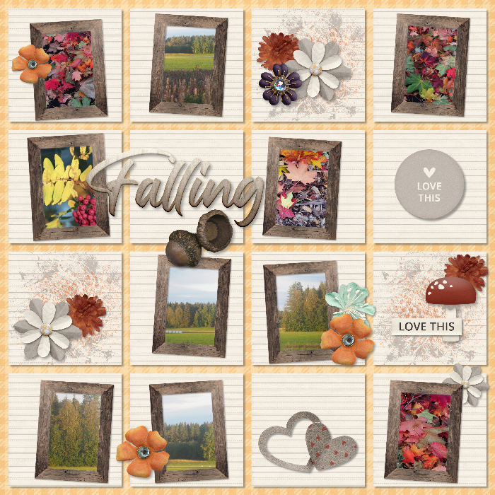 autumn pictures