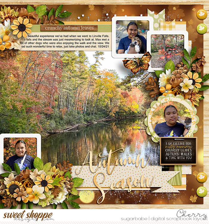 Autumn Season