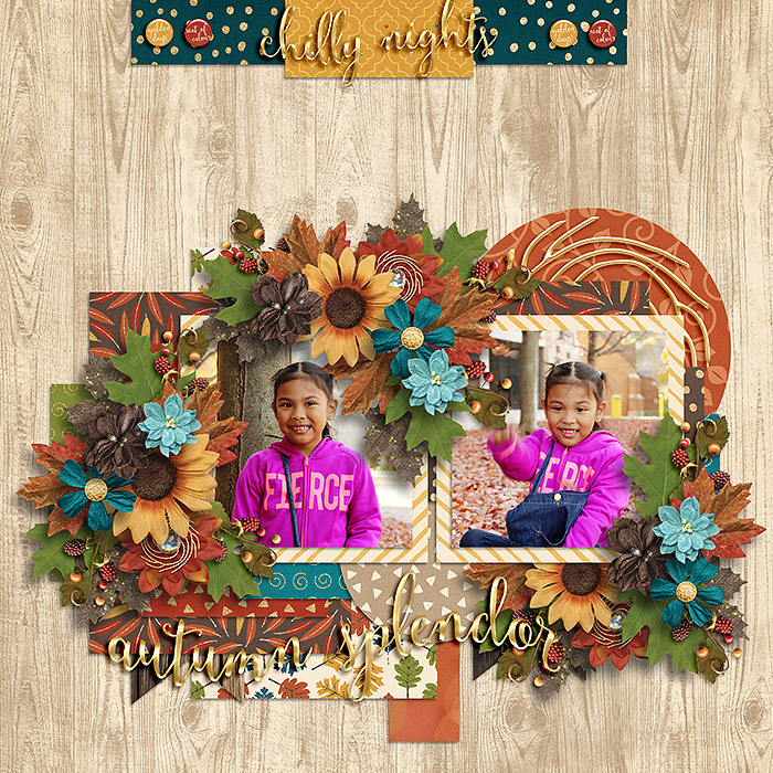 Autumn Splendor
