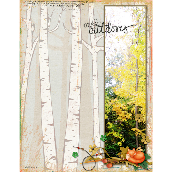 Autumn Trails
