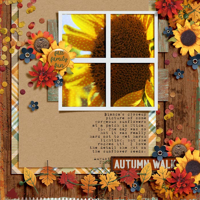 Autumn Walk - Wild Card Challenge