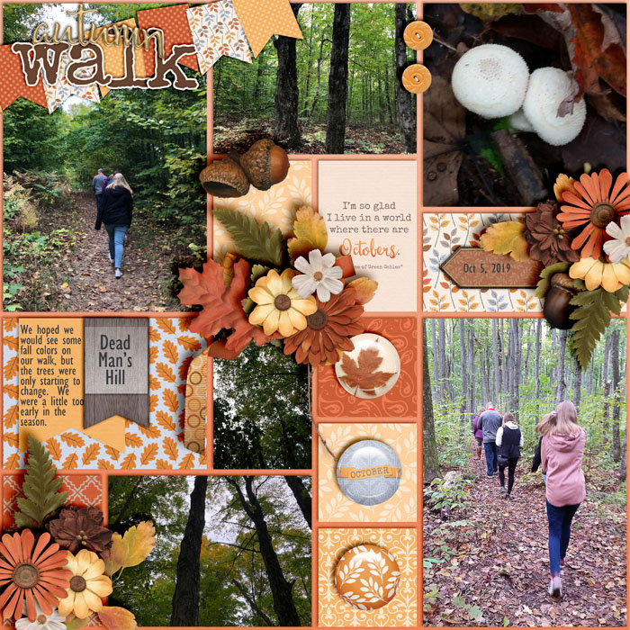 Autumn Walk