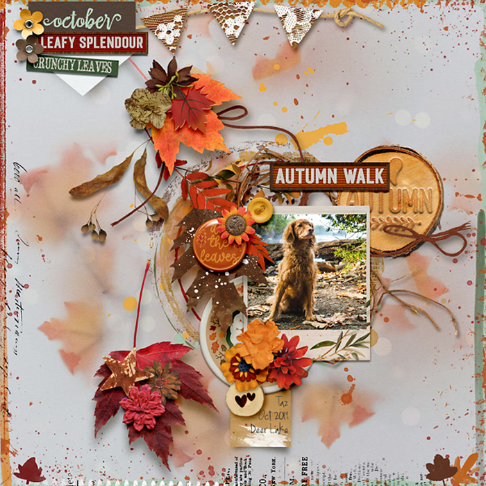 Autumn Walk