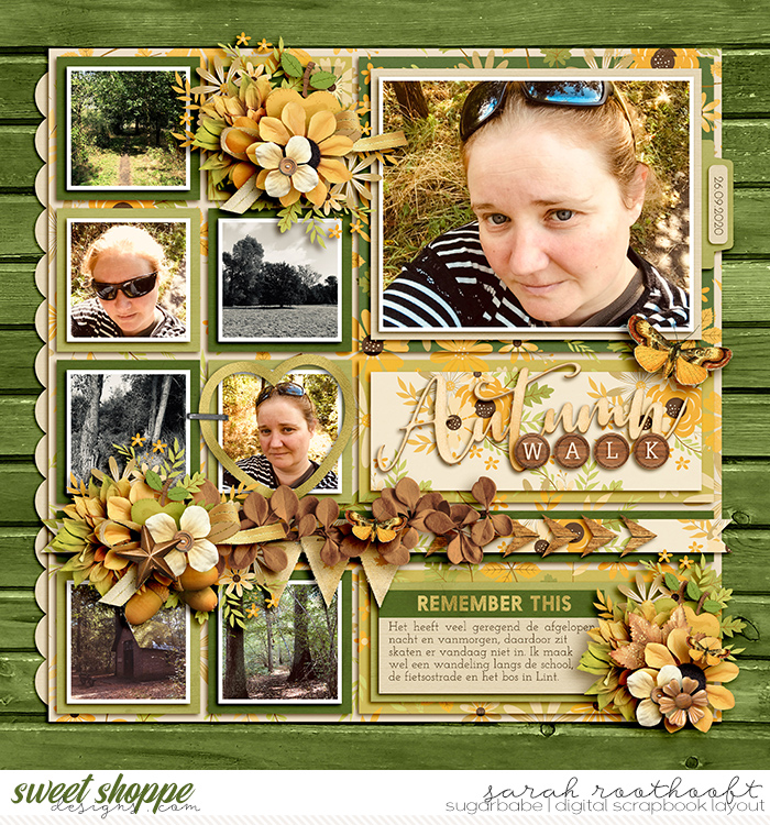 Autumn Walk