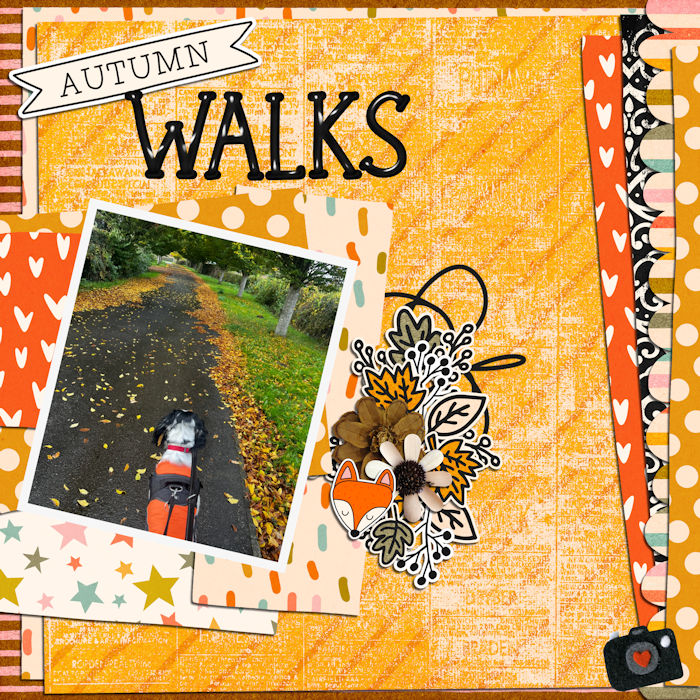 Autumn Walks