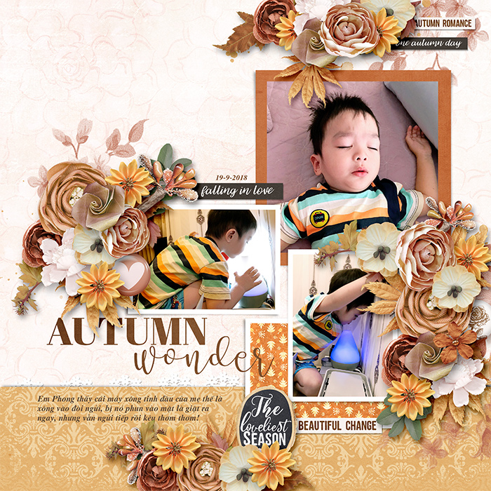 Autumn wonder