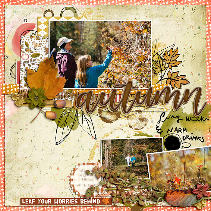 Autumn Woods