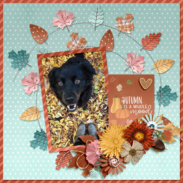 autumn