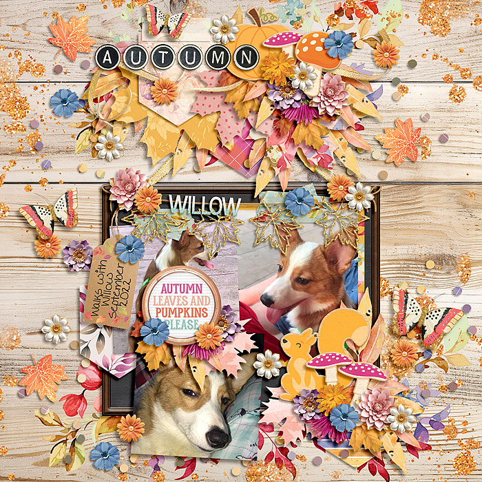 Autumn