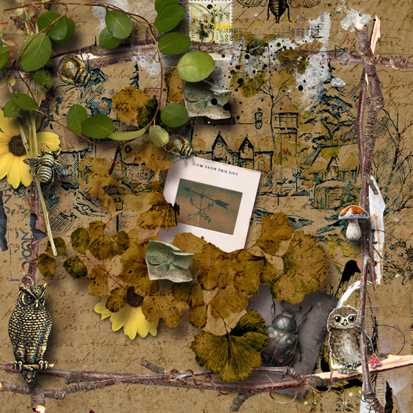 autumn