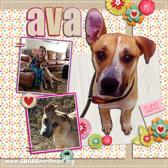Ava