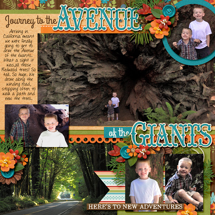 Avenue of the Giants