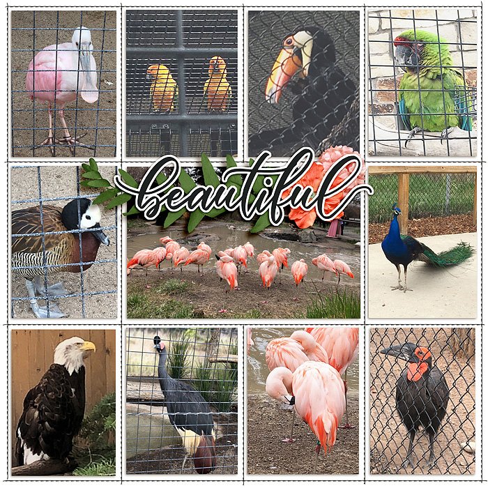 aviary - right side
