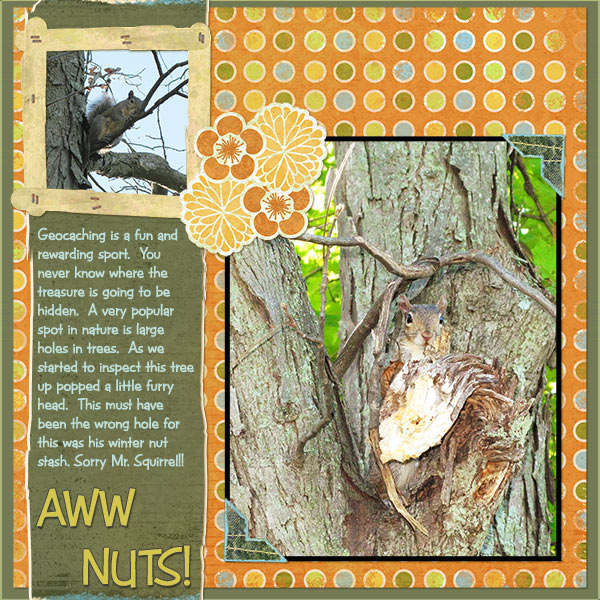 Aww Nuts