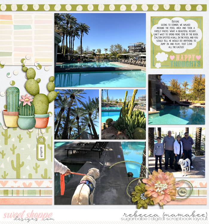 AZ 2019_poolside_right