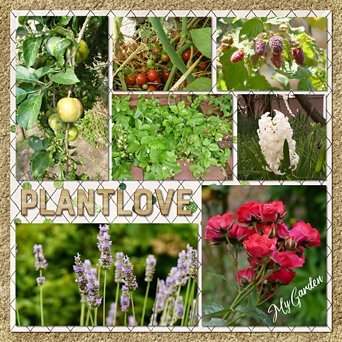 B57_Plantlife3ByFlergs700