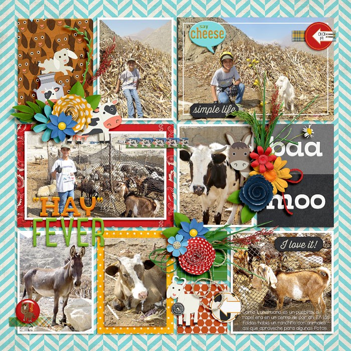 baas and moos