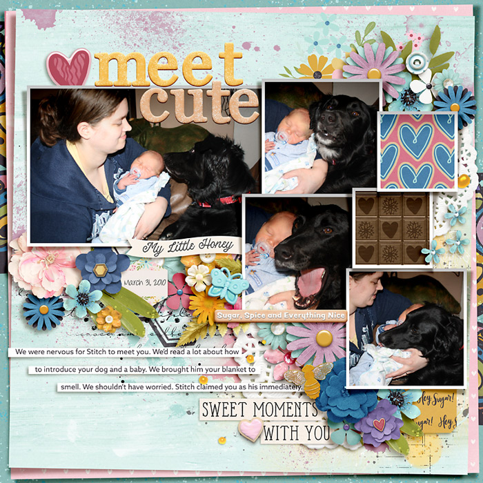 Baby and Dog Meet