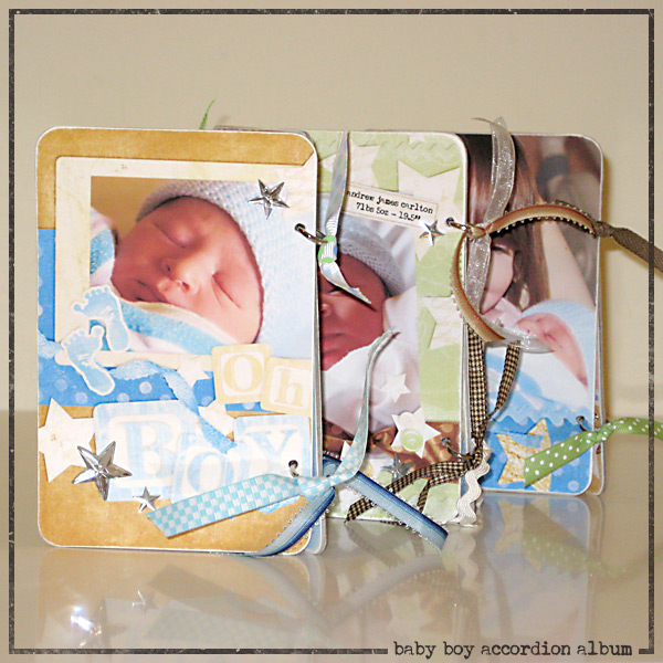 Baby Andy Accordion Book