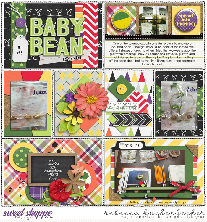 baby bean experiment