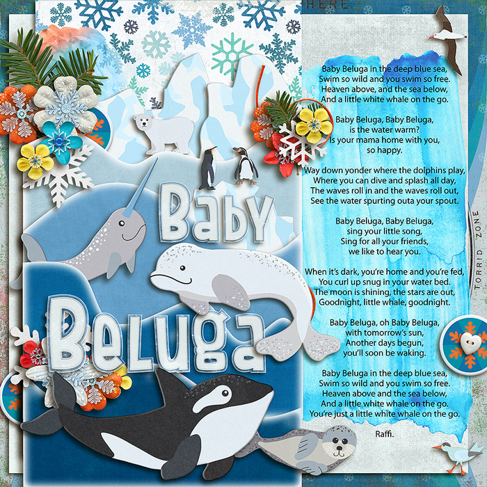 Baby Beluga
