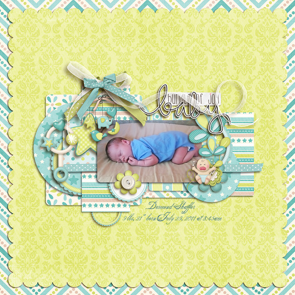 Baby Bundle of Joy
