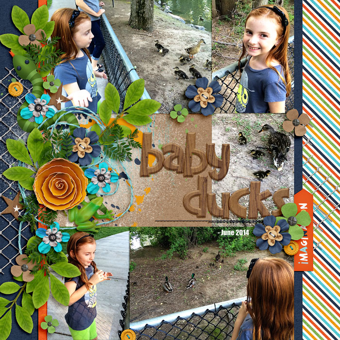 baby ducks