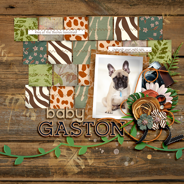 Baby Gaston