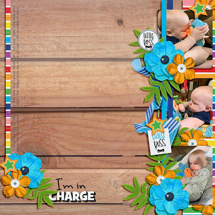 Baby Jack in Charge